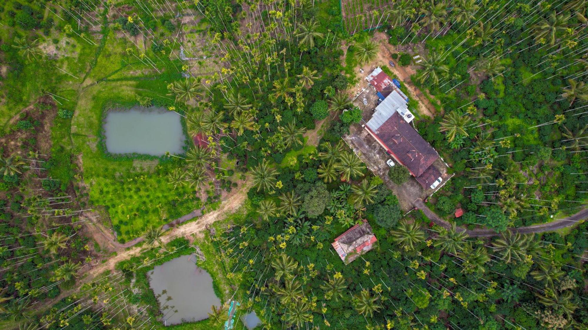 Apartamento Wayanad Palm Grove Retreat G Floor Sultan Bathery Exterior foto