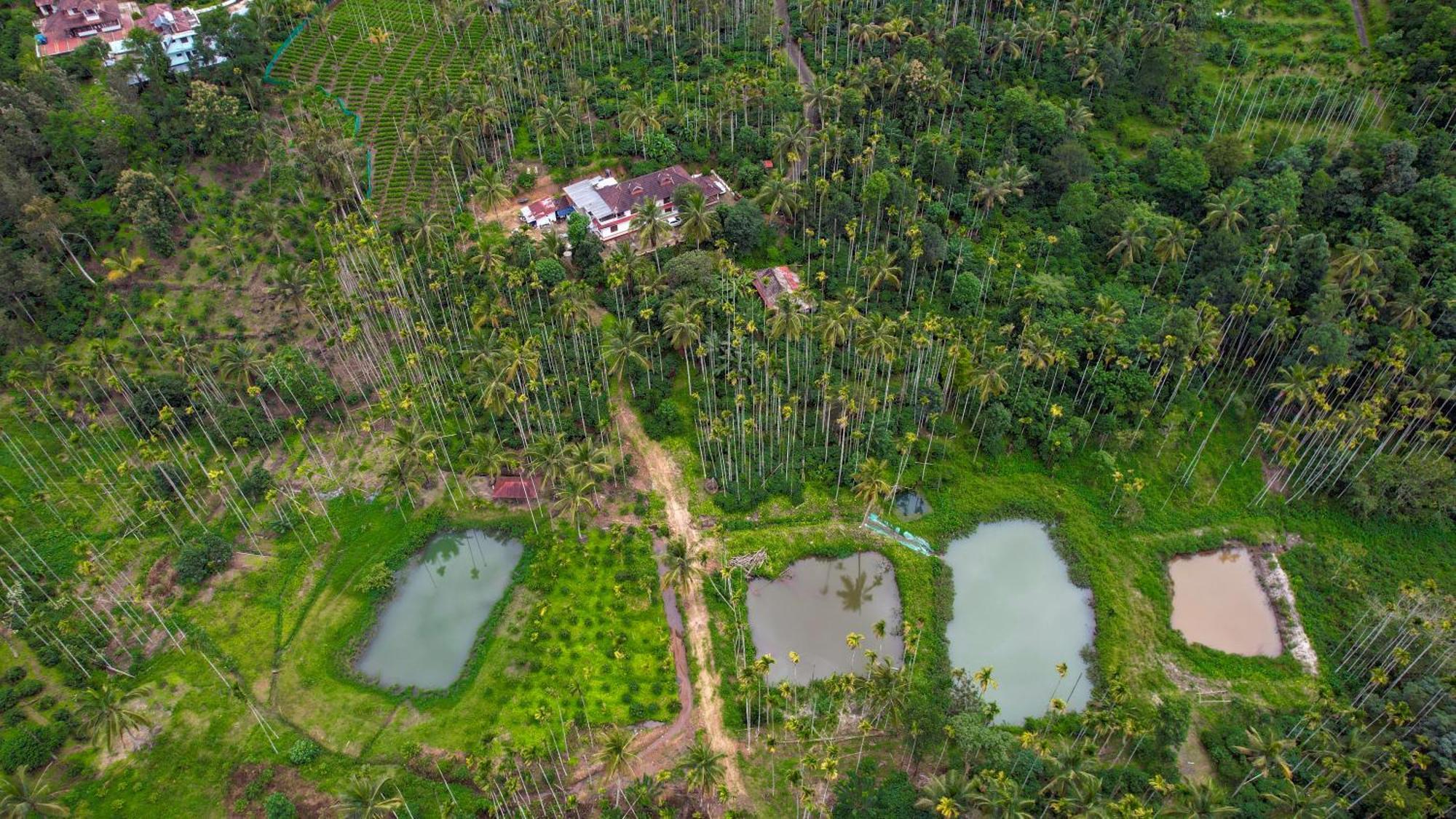 Apartamento Wayanad Palm Grove Retreat G Floor Sultan Bathery Exterior foto